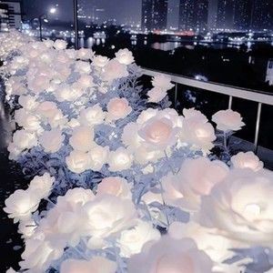 Meet your Posher, Alainna